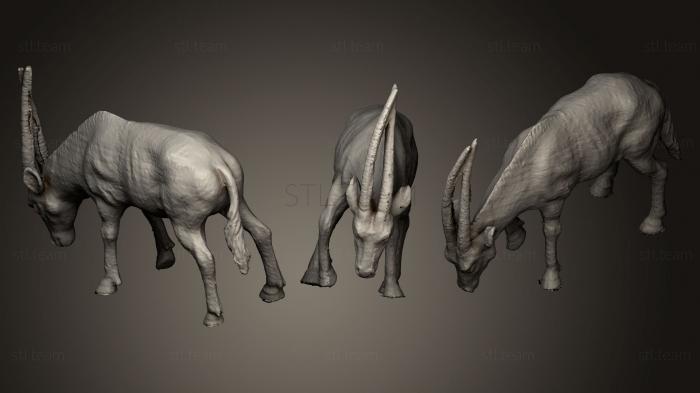3D model Nyrsas antilop (STL)